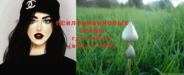 винт Богородицк