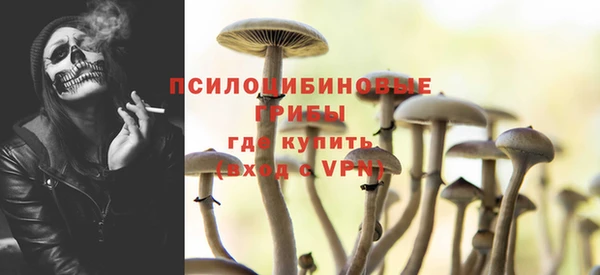 шишки Богданович