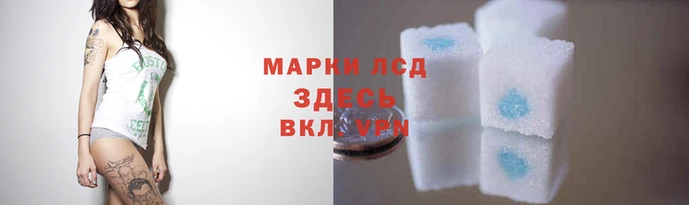 прущие крисы Тайга