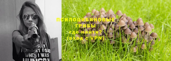 шишки Богданович