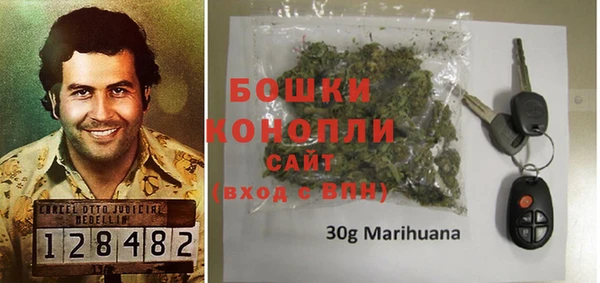 шишки Богданович