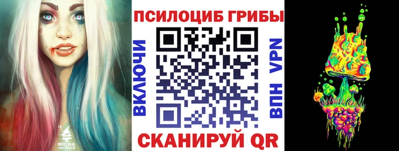 Псилоцибиновые грибы GOLDEN TEACHER купить наркоту даркнет Telegram Киреевск
